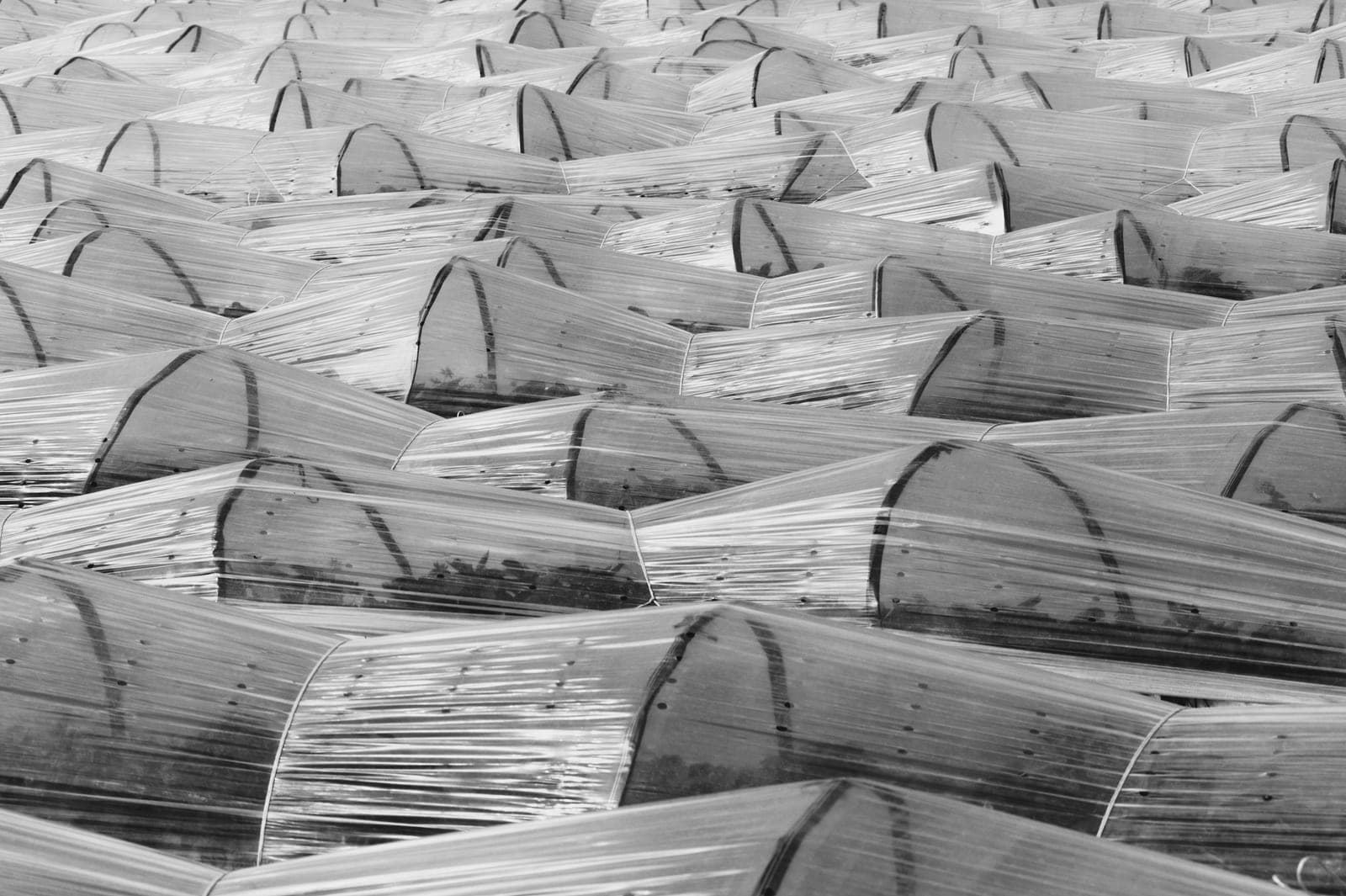 A row of cloche covers over a vegetable bed in bright daylight