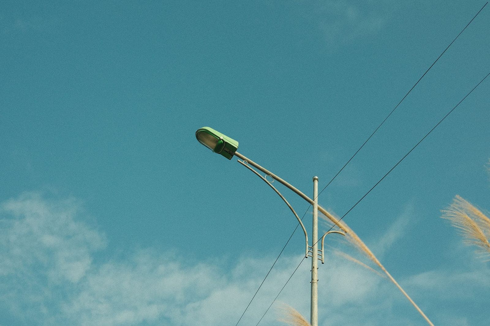 A bird feeder on a slim metal pole against a pale, open sky