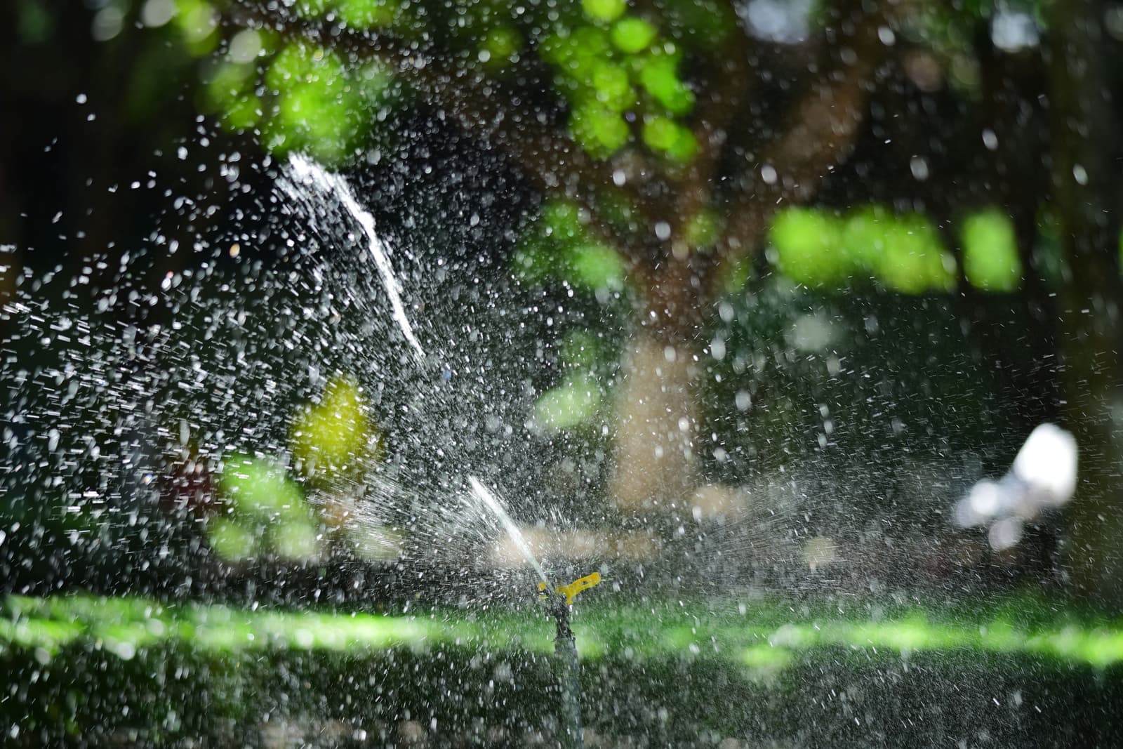 A garden sprinkler throwing water across a lawn in bright daylight